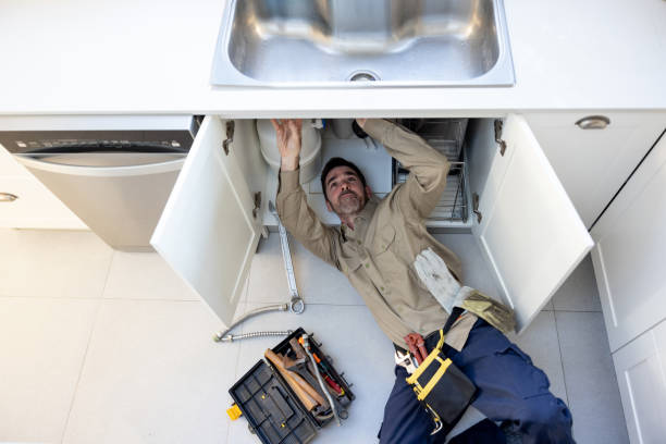 Best Clogged Drain Plumber  in Trenton, FL