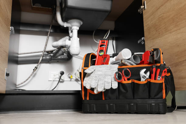 Best Plumbing Inspection Services  in Trenton, FL