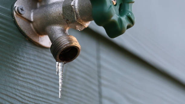 Best Emergency Plumbing Repair  in Trenton, FL