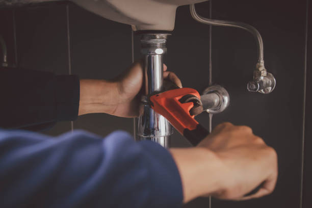 Best Residential Plumbing Services  in Trenton, FL